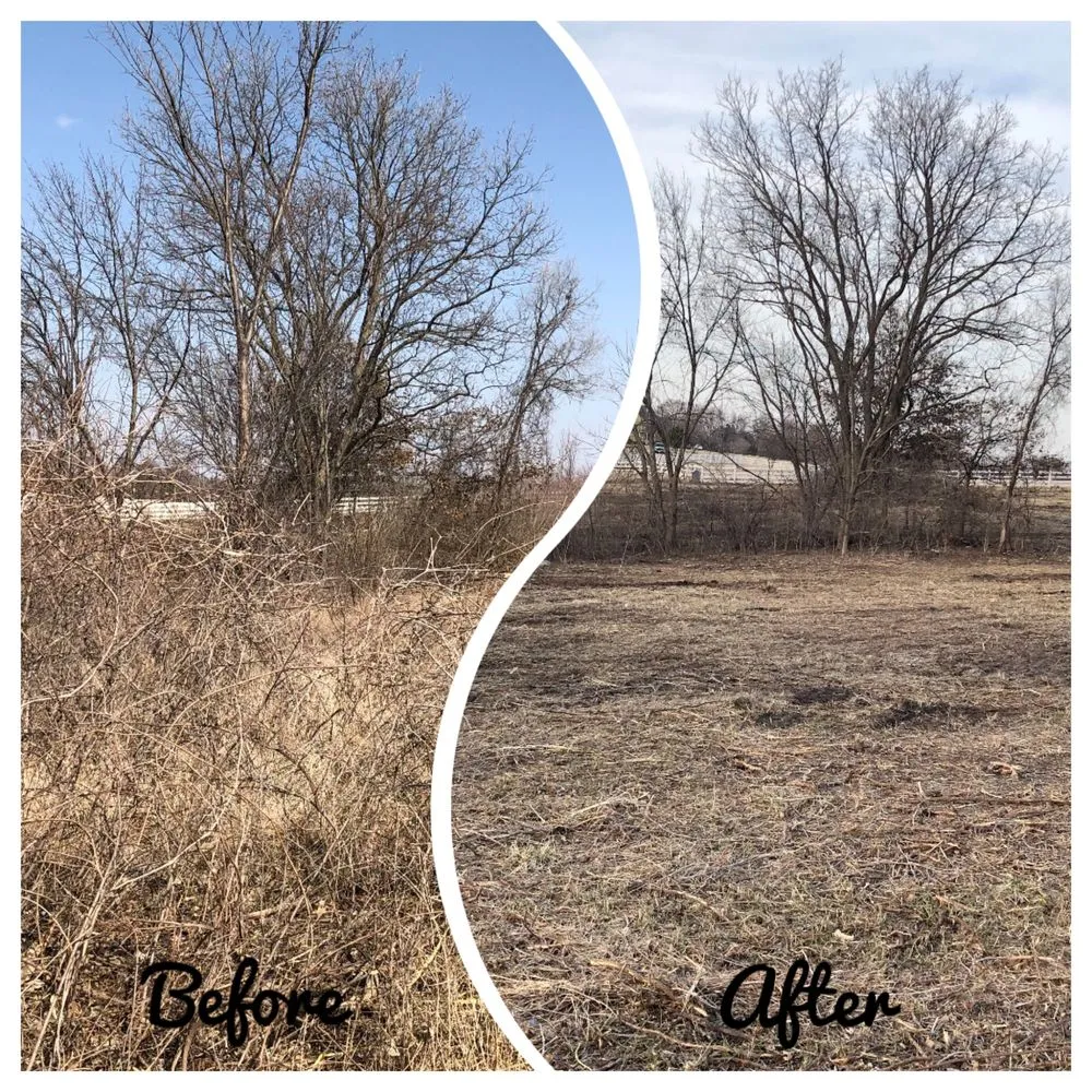 Affordable yard maintenance in Holt, MO - Tri-State Land Clearing