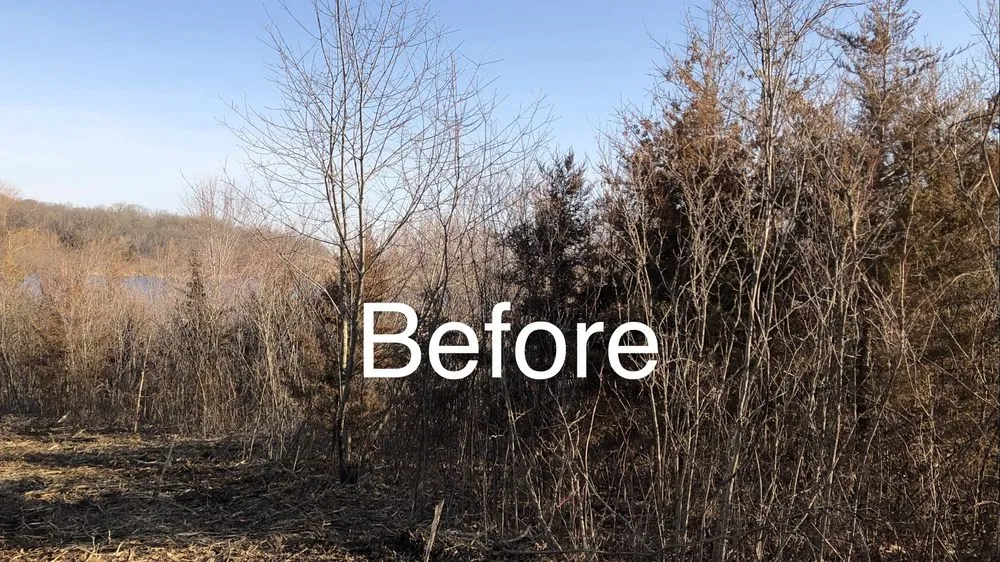 Trusted lawn mowing service in Holt, MO by Tri-State Land Clearing