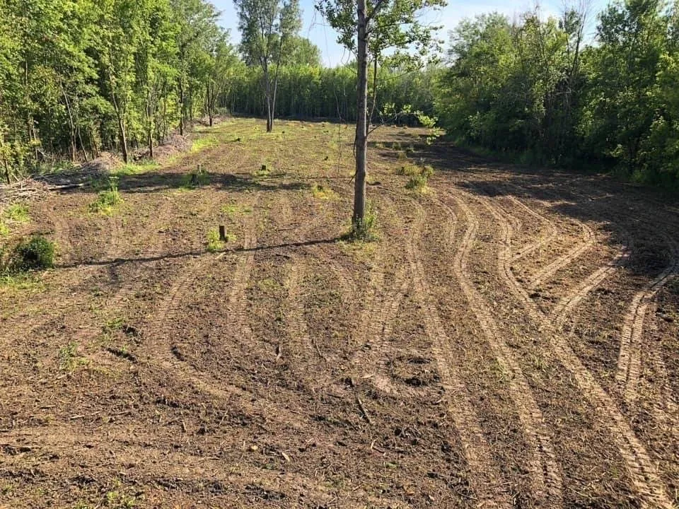Trusted landscape design in Holt, MO - Tri-State Land Clearing