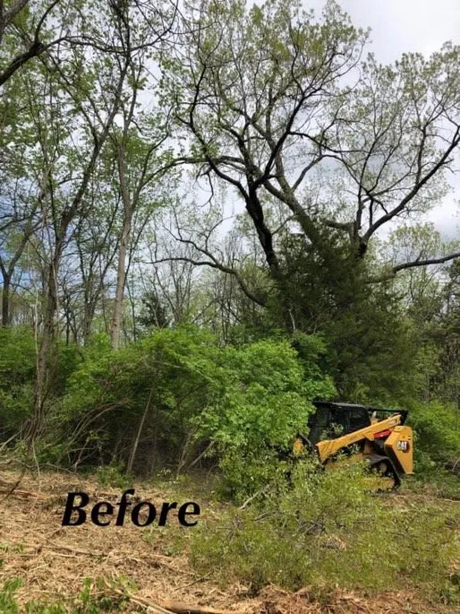 Local landscape installation in Holt, MO - Tri-State Land Clearing