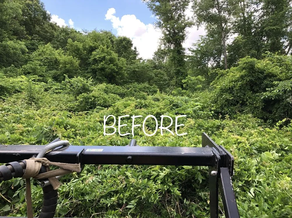 Reliable outdoor landscaping in Holt, MO - Tri-State Land Clearing