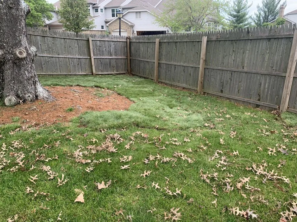 Top-rated landscape design for residential properties across Dry Ridge, KY - Tri-state Landscaping Services