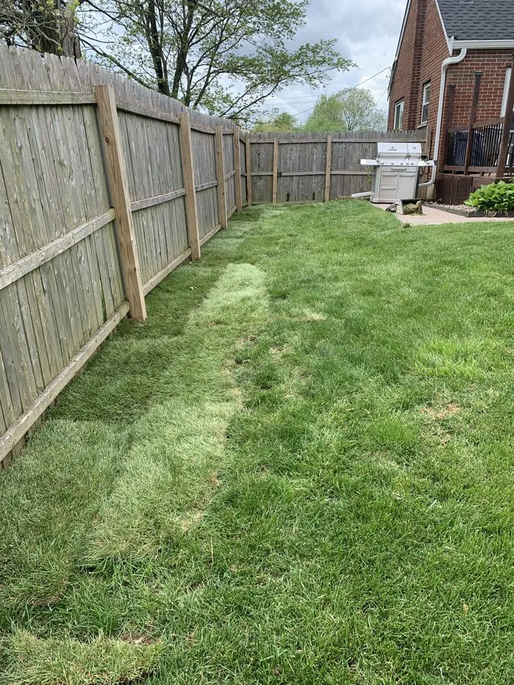 Custom lawn care service in Dry Ridge, KY - Tri-state Landscaping Services