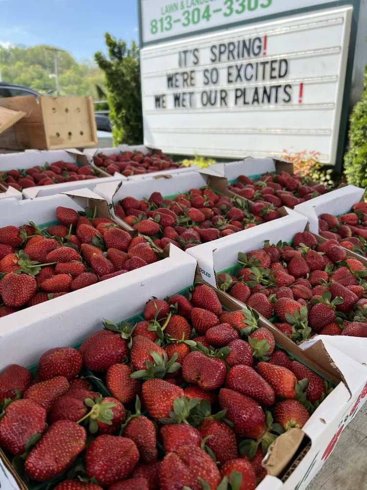 Trusted lawn care service in Huntington, WV - Tri-State Lawn & Landscape Pros