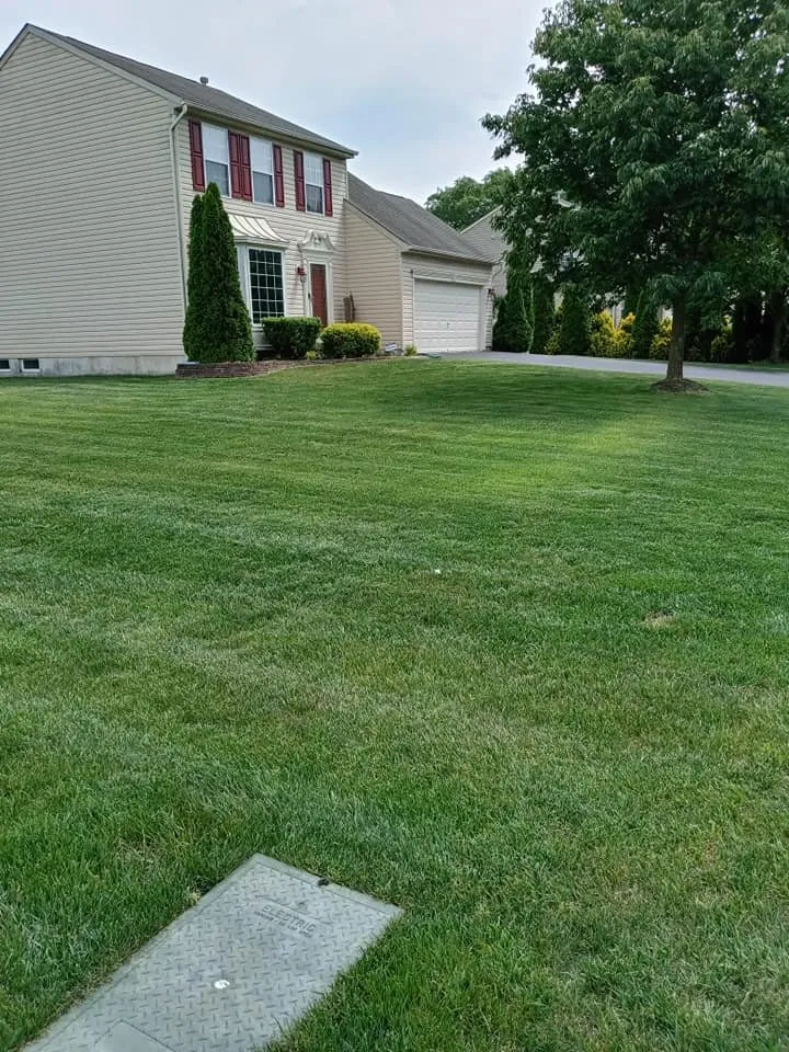 Reliable landscaping services in Millville, NJ - Tri State Lawn Care