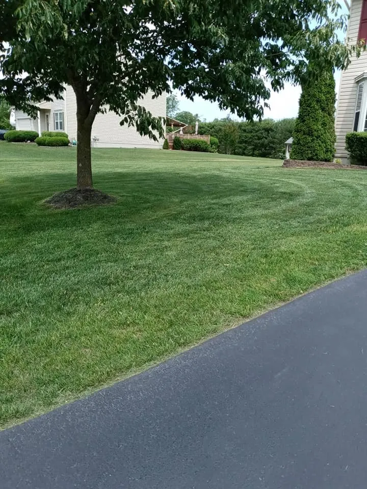 Local landscape installation for homes in Millville, NJ by Tri State Lawn Care