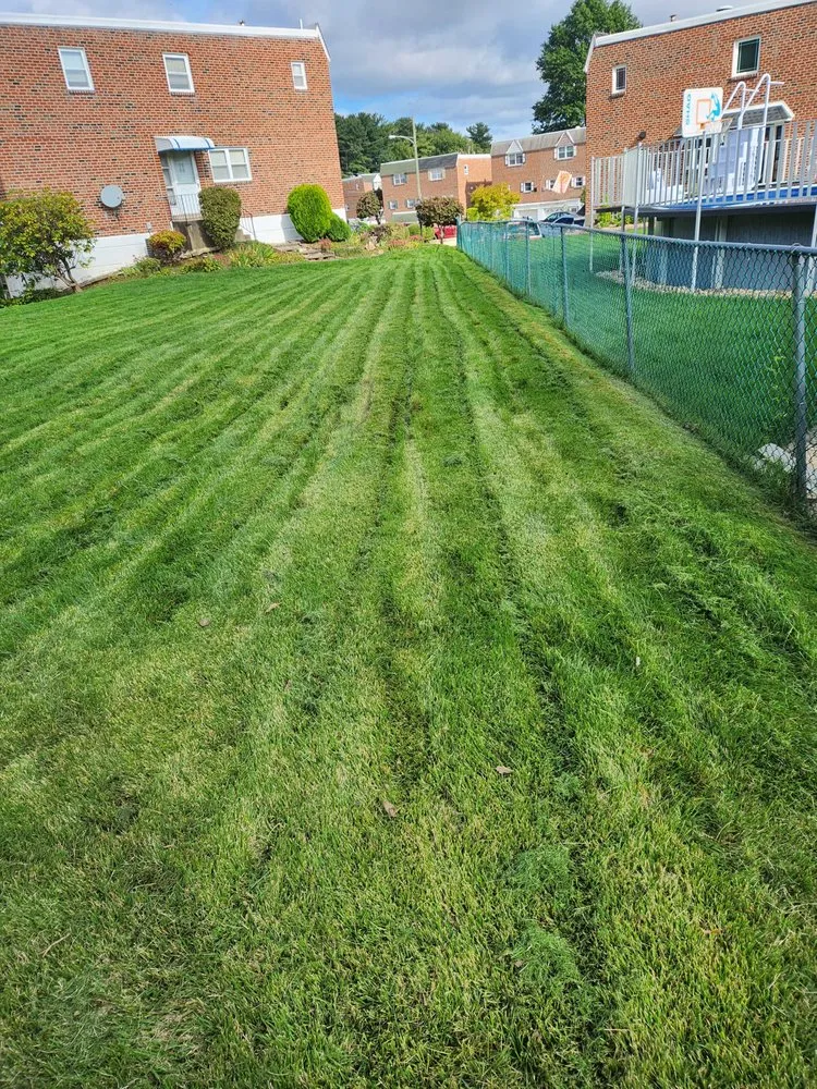 Top-rated residential landscaping for beautiful yards across Salem, NJ - Tri-State Lawn King