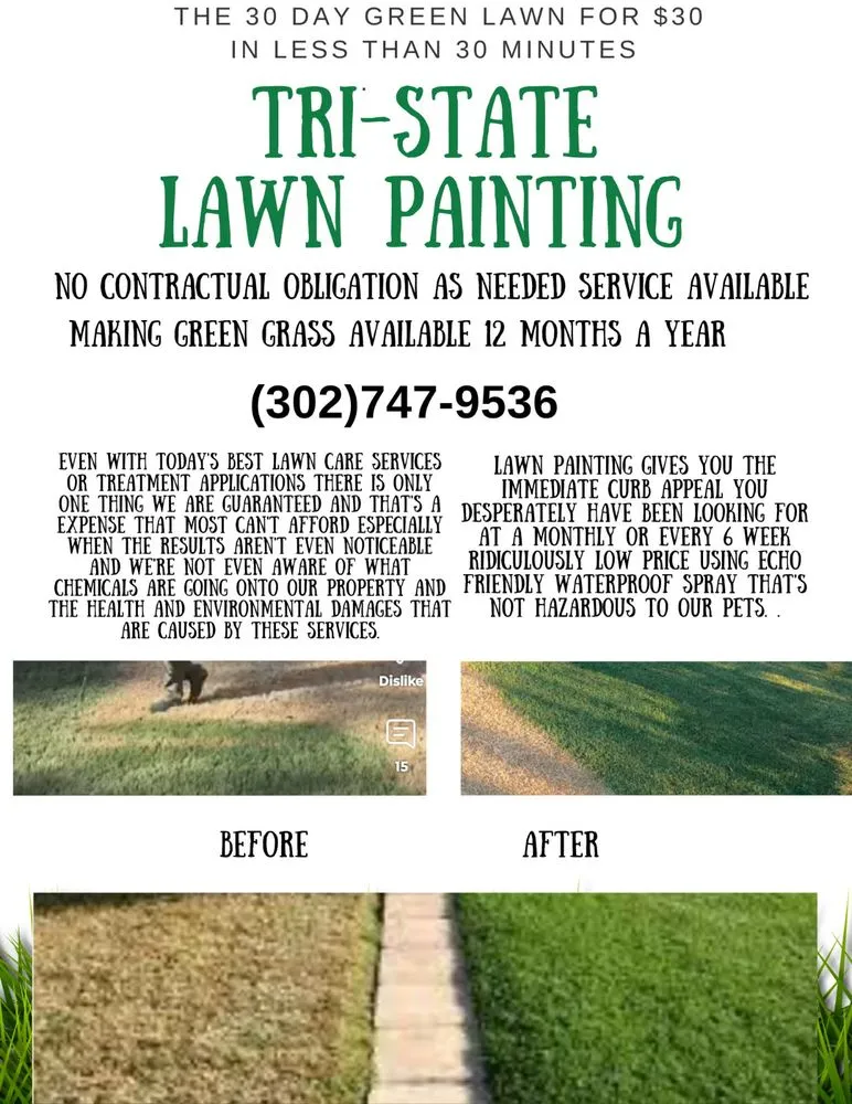 Top-rated residential landscaping experts serving New Castle, DE - Tri State Lawn Painting