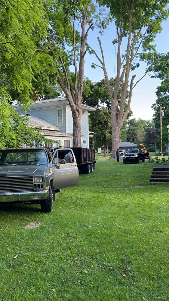 Local outdoor landscaping experts serving Coldwater, MI - Tri State Tree Services