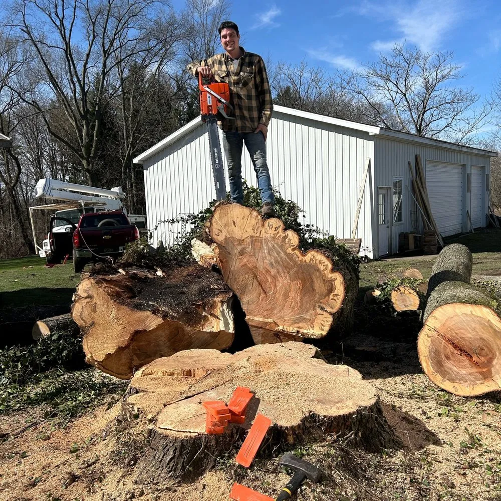 Affordable landscaping services with custom design in Coldwater, MI by Tri State Tree Services