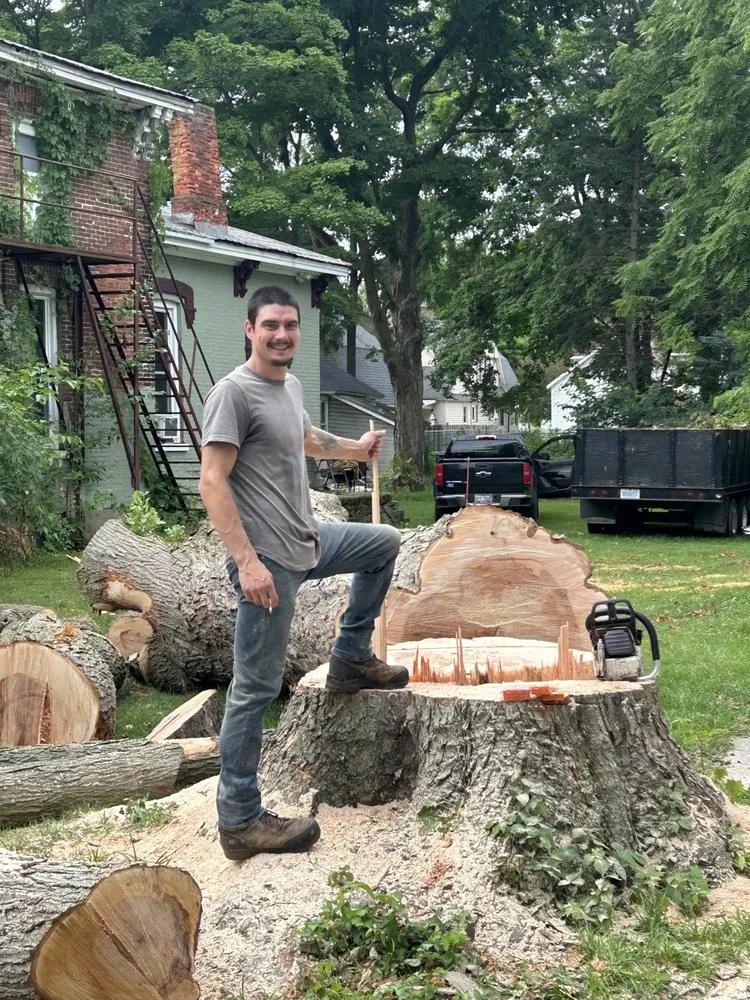 Trusted residential landscaping with custom design across Coldwater, MI - Tri State Tree Services