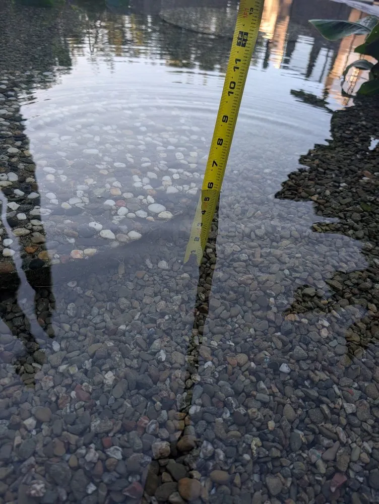 Expert outdoor landscaping in Pleasanton, CA by Tri-Valley Concrete & Landscape Materials