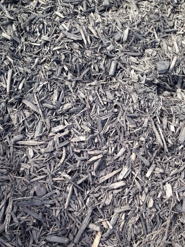 Professional lawn care service for year-round maintenance in Pleasanton, CA by Tri-Valley Concrete & Landscape Materials