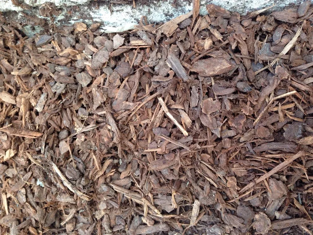 Professional landscape design in Pleasanton, CA by Tri-Valley Concrete & Landscape Materials