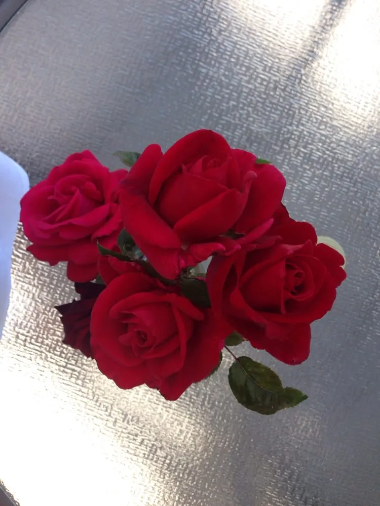 Expert yard maintenance experts serving Livermore, CA - Tri-Valley Garden & Lawn Care