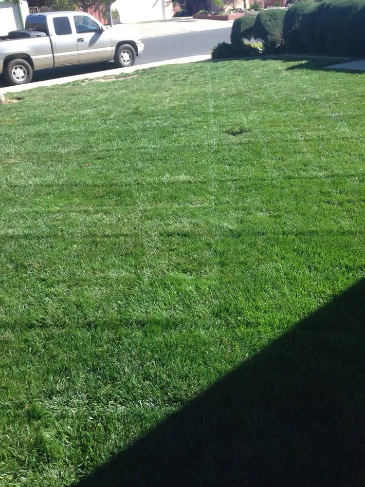 Custom landscape design in Livermore, CA - Tri-Valley Garden & Lawn Care