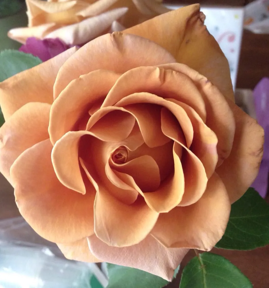 Local lawn mowing service for homes across Livermore, CA - Tri-Valley Garden & Lawn Care