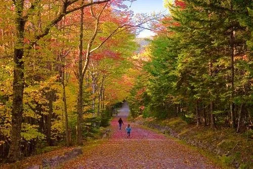 Top-rated residential landscaping experts serving Livermore, CA - Tri-Valley Garden & Lawn Care