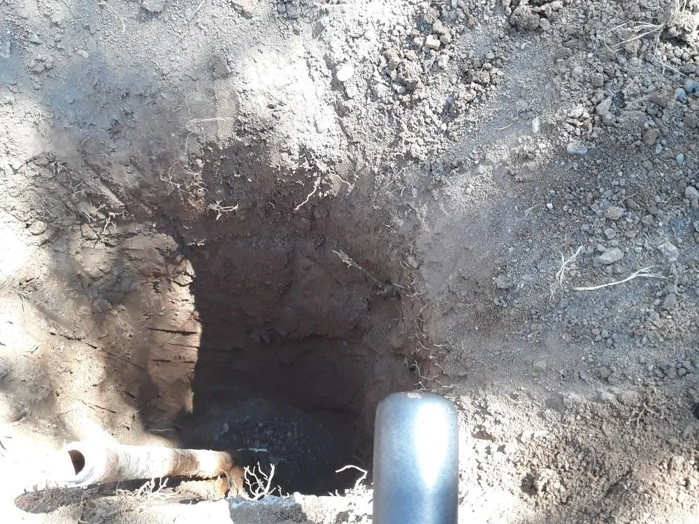 Custom yard cleanup service for homes in Dublin, CA by Tri-Valley Gardening and Landscaping