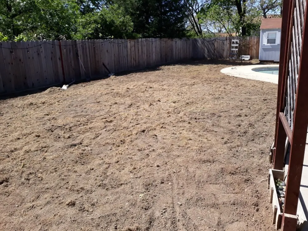 Reliable yard cleanup service in Dublin, CA - Tri-Valley Gardening and Landscaping