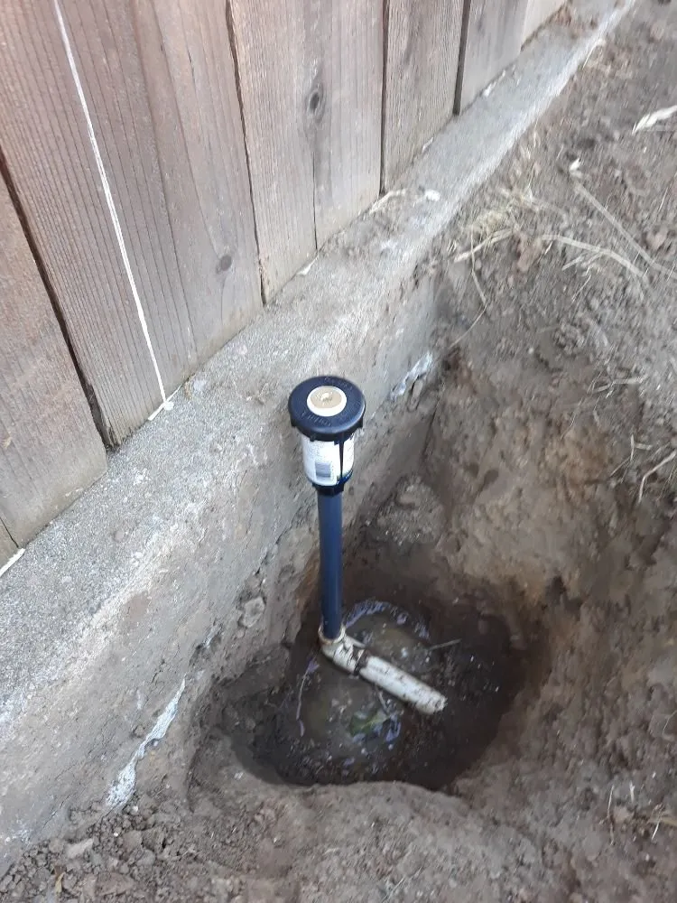 Expert lawn care service in Dublin, CA - Tri-Valley Gardening and Landscaping