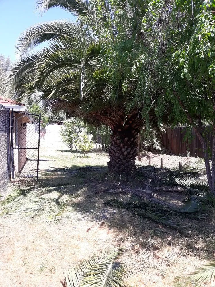 Expert landscape installation in Dublin, CA - Tri-Valley Gardening and Landscaping