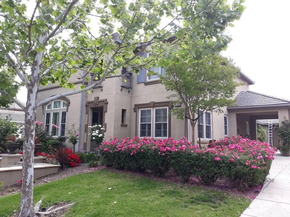 Affordable outdoor landscaping for beautiful yards across Dublin, CA - Tri-Valley Gardening and Landscaping