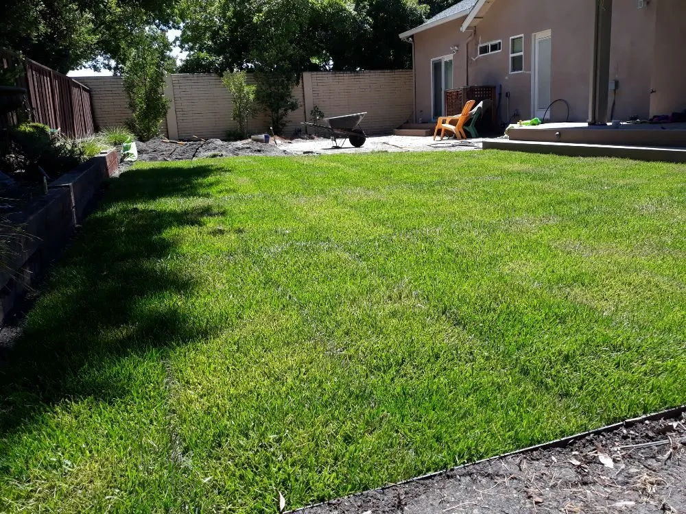 Affordable yard maintenance in Dublin, CA - Tri-Valley Gardening and Landscaping