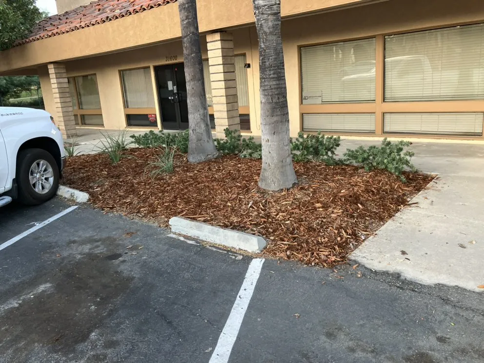 Trusted landscaping services for year-round maintenance in Wildomar, CA by Tri Valley Landscape