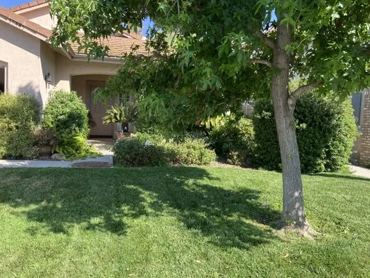 Tri Valley Landscape