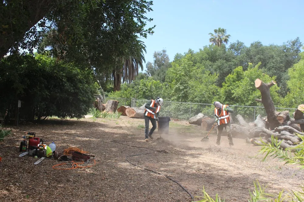Affordable landscaping services for year-round maintenance across Ojai, CA - Tri Valley Tree Trimming