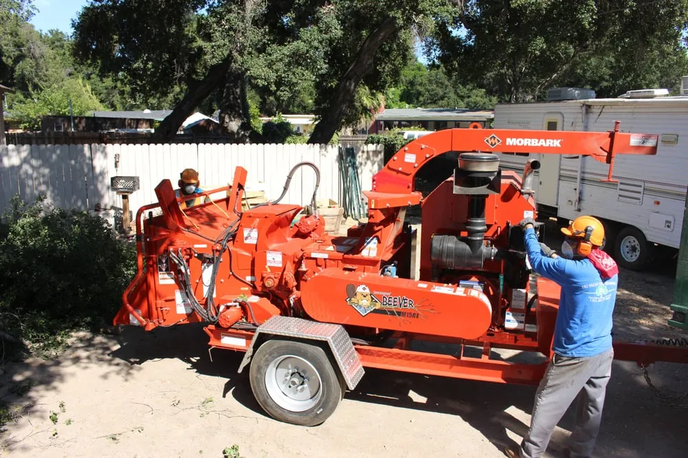 Top-rated lawn care service for homes across Ojai, CA - Tri Valley Tree Trimming