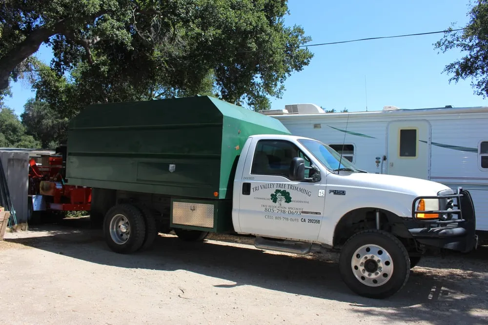 Expert yard cleanup service experts serving Ojai, CA - Tri Valley Tree Trimming