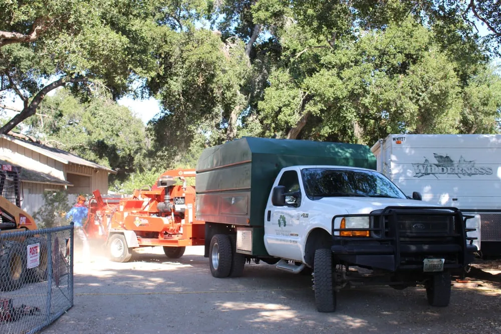 Custom yard cleanup service for homes across Ojai, CA - Tri Valley Tree Trimming