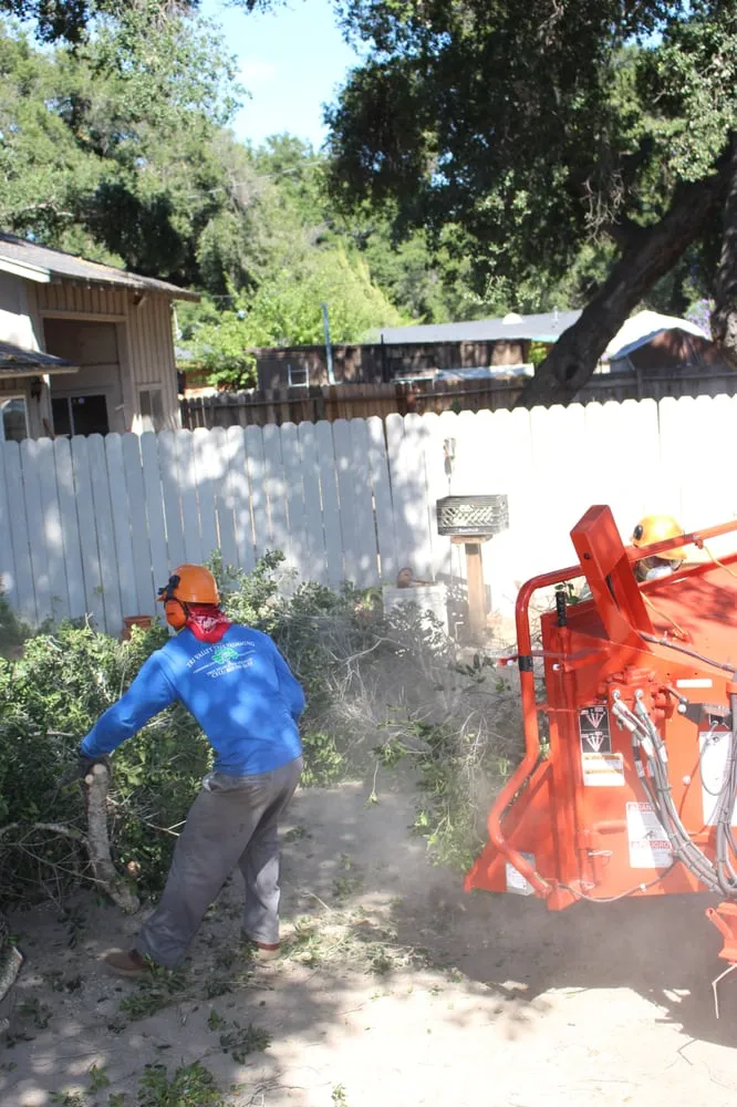 Trusted landscape installation in Ojai, CA by Tri Valley Tree Trimming