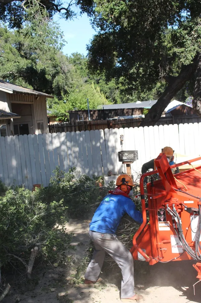 Custom garden landscaping experts serving Ojai, CA - Tri Valley Tree Trimming