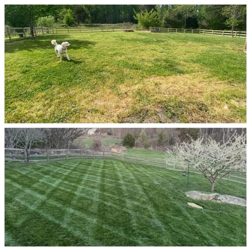 Local garden landscaping for year-round maintenance across Browns Summit, NC - Triad Elite Lawns