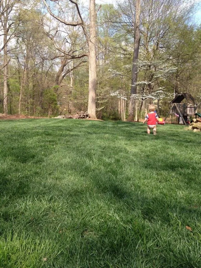 Trusted lawn mowing service experts serving Kernersville, NC - Triad Greenscapes