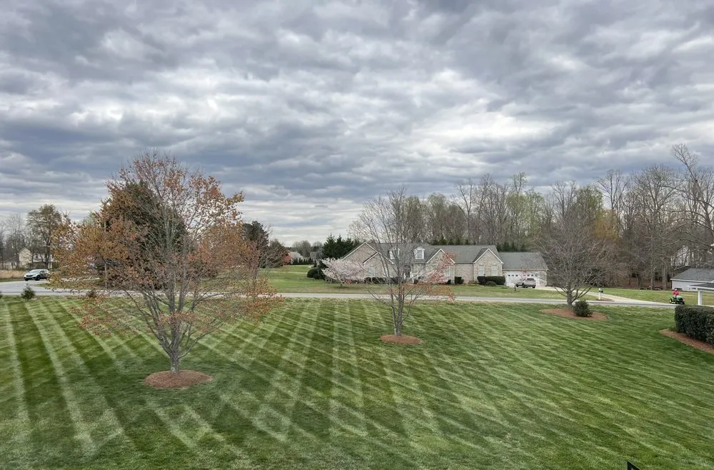 Affordable landscaping services in Reidsville, NC - Triad Landscape Solutions