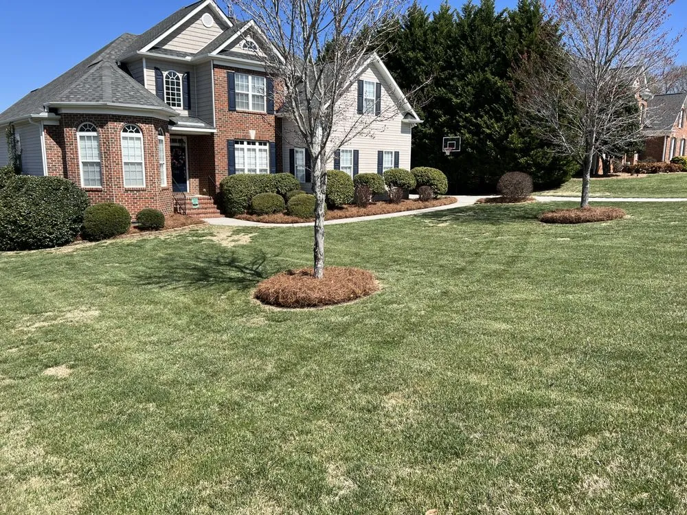 Local landscaping services for beautiful yards in Reidsville, NC by Triad Landscape Solutions