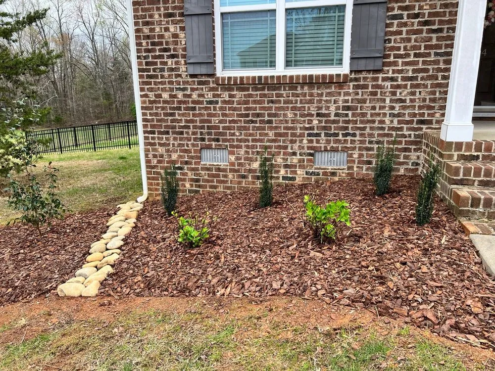 Reliable yard cleanup service for outdoor upgrades in Reidsville, NC by Triad Landscape Solutions