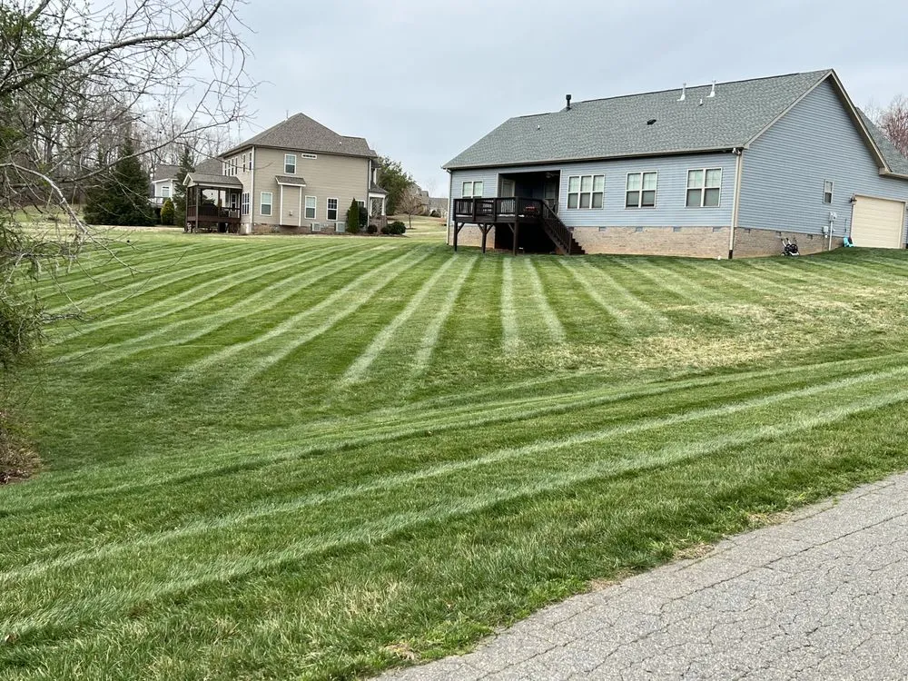 Local yard maintenance for beautiful yards in Reidsville, NC by Triad Landscape Solutions