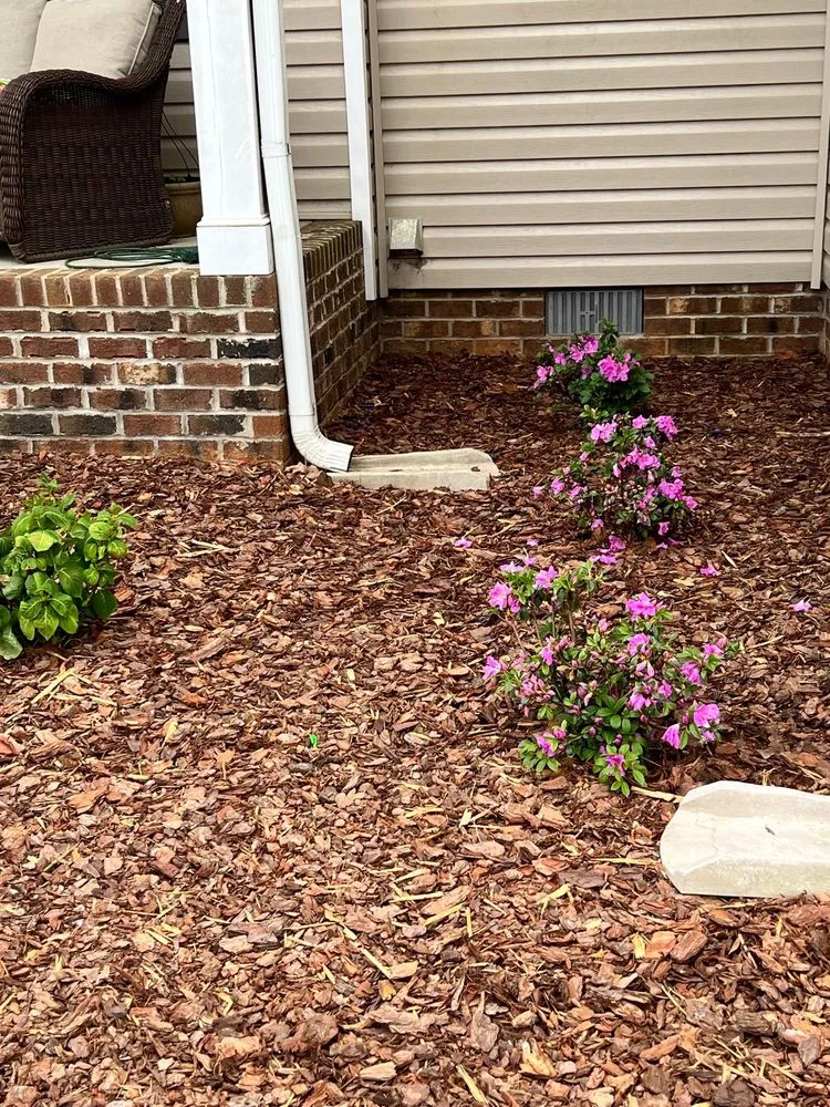 Professional yard cleanup service for year-round maintenance in Reidsville, NC by Triad Landscape Solutions