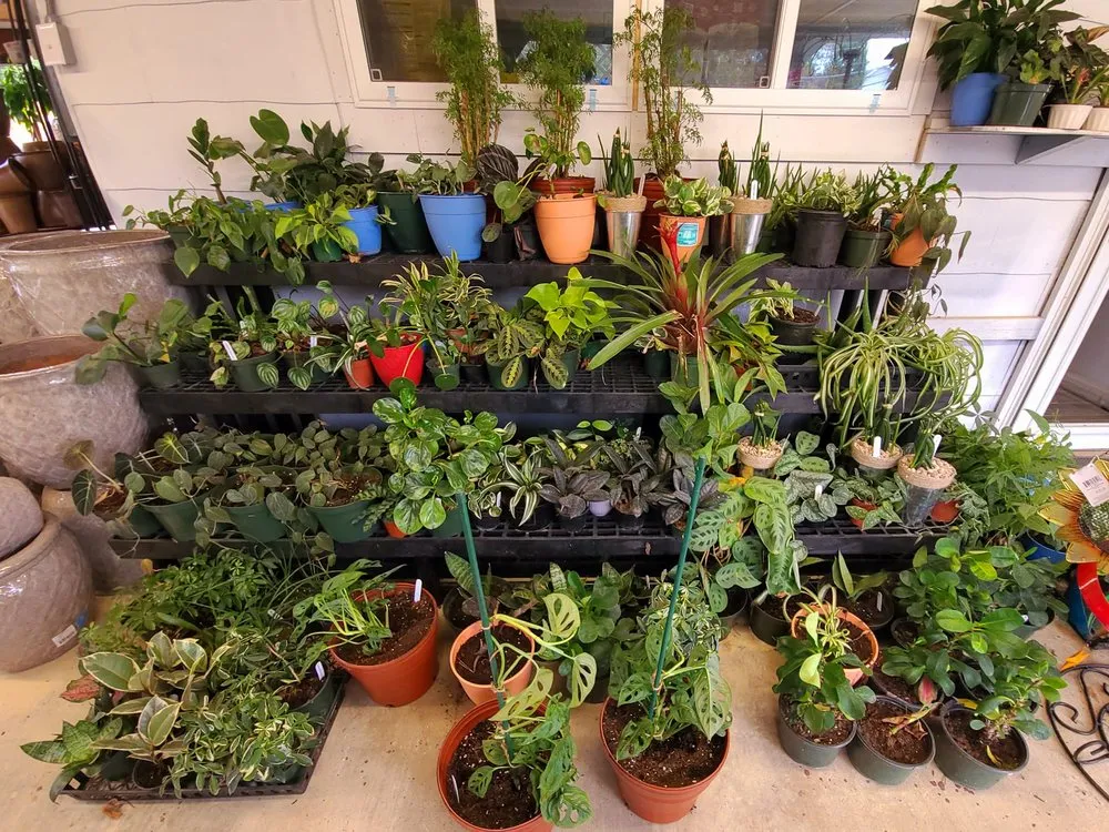 Professional yard cleanup service in Kernersville, NC by Triad Landscape Supply