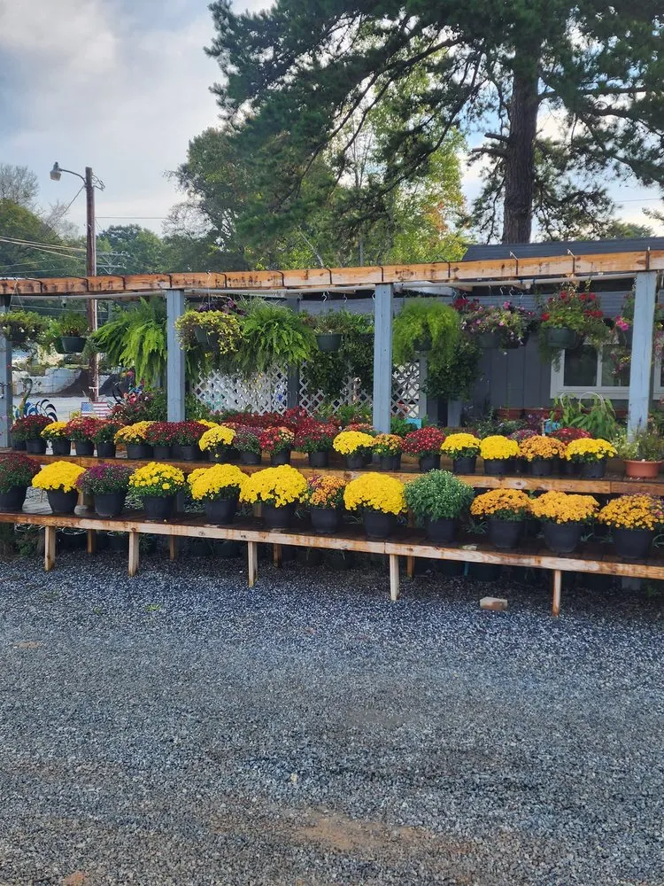 Custom landscape installation near you in Kernersville, NC by Triad Landscape Supply