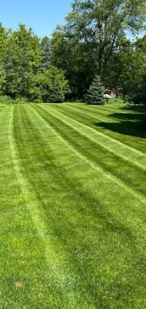 Custom lawn care service in Alton, VA - Triad Lawncare And Maintenance