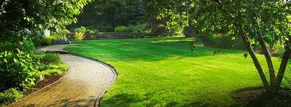 Custom lawn mowing service in Salisbury, NC by Triad Multi Service