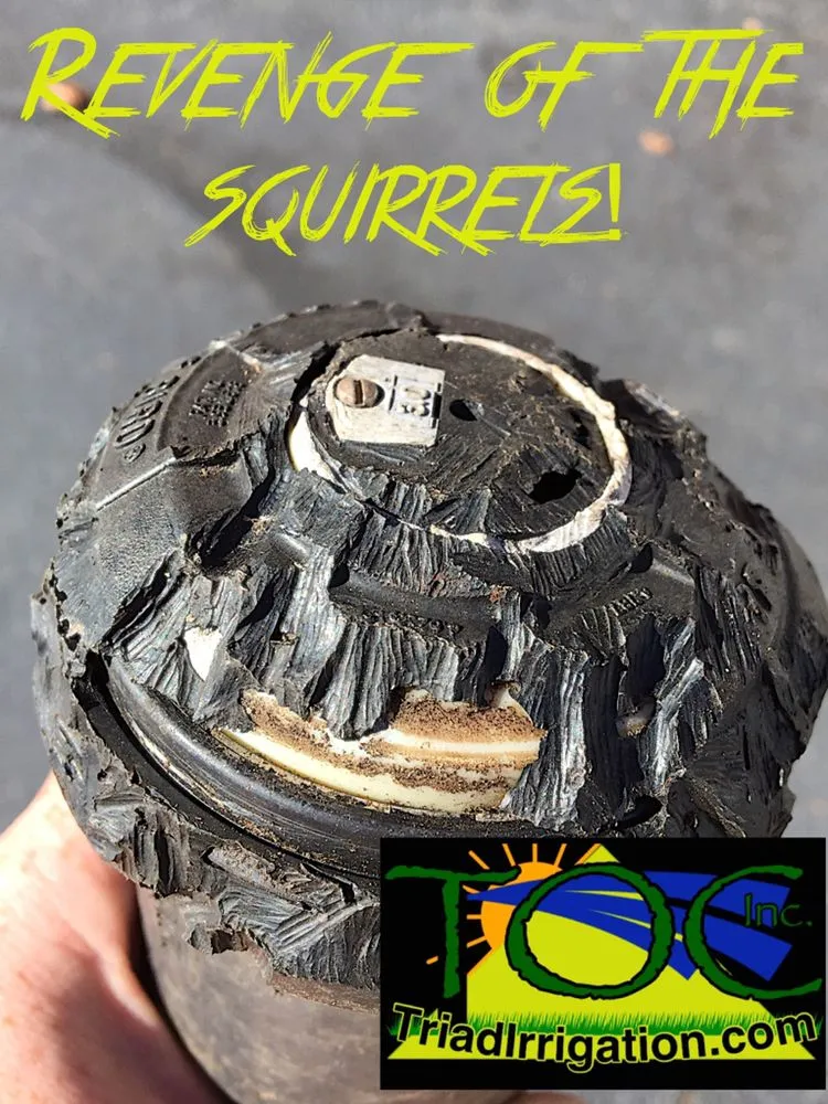 Custom garden landscaping experts serving Greensboro, NC - Triad Outdoor Care