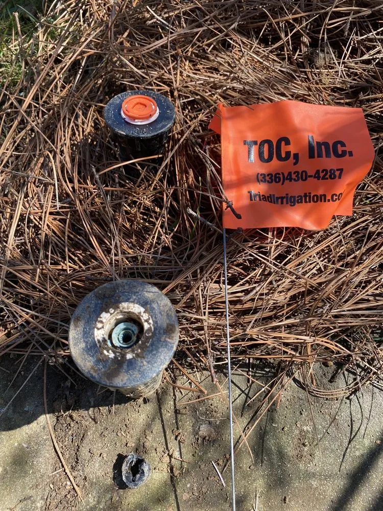 Trusted yard maintenance in Greensboro, NC - Triad Outdoor Care