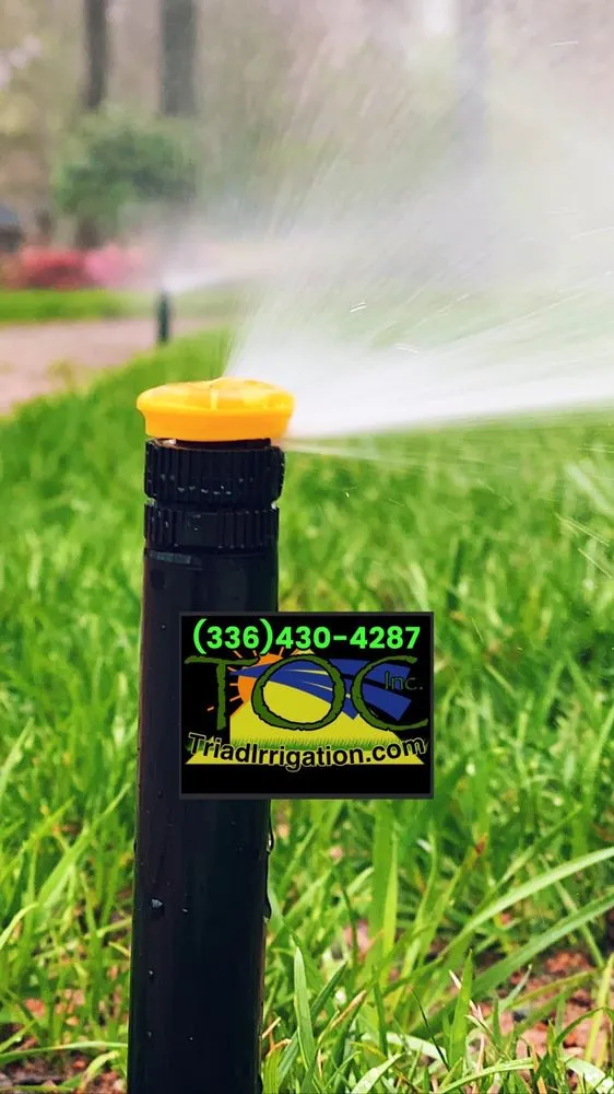 Custom yard cleanup service experts serving Greensboro, NC - Triad Outdoor Care